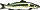 潮干狩り