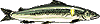 潮干狩り
